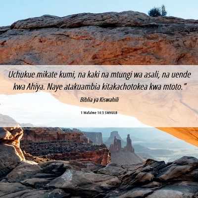 Picture 06 - 1 Wafalme 14:3 SWHULB - Uchukue mikate kumi, na kaki na mtungi wa asali, - Bible Verse Picture