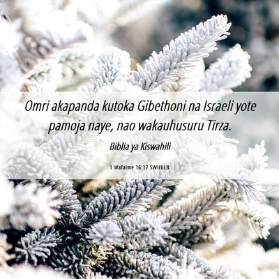 Picture 06 - 1 Wafalme 16:17 SWHULB - Omri akapanda kutoka Gibethoni na Israeli yote - Bible Verse Picture
