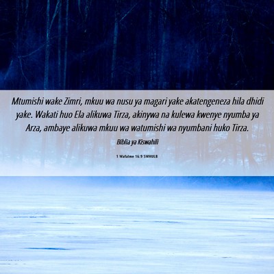 Picture 06 - 1 Wafalme 16:9 SWHULB - Mtumishi wake Zimri, mkuu wa nusu ya magari yake - Bible Verse Picture