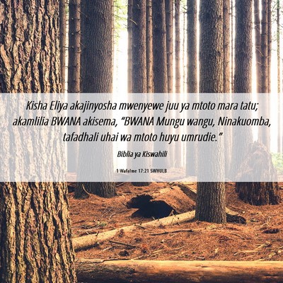 Picture 06 - 1 Wafalme 17:21 SWHULB - Kisha Eliya akajinyosha mwenyewe juu ya mtoto - Bible Verse Picture