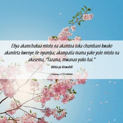 Picture 06 - 1 Wafalme 17:23 SWHULB - Eliya akamchukua mtoto na akamtoa toka chumbani - Bible Verse Picture