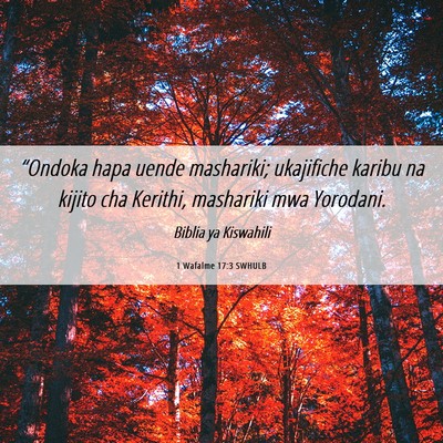 Picture 06 - 1 Wafalme 17:3 SWHULB - “Ondoka hapa uende mashariki; ukajifiche karibu - Bible Verse Picture