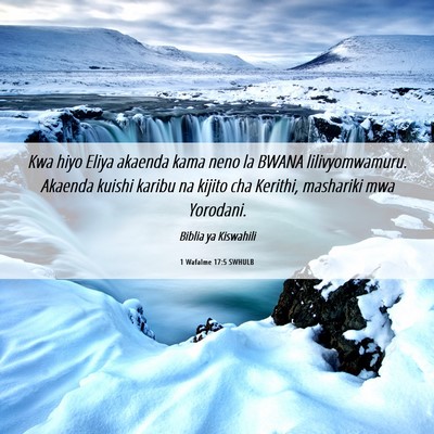 Picture 06 - 1 Wafalme 17:5 SWHULB - Kwa hiyo Eliya akaenda kama neno la BWANA - Bible Verse Picture