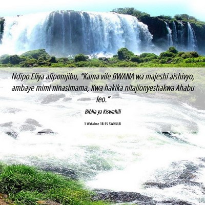 Picture 06 - 1 Wafalme 18:15 SWHULB - Ndipo Eliya alipomjibu, “Kama vile BWANA wa - Bible Verse Picture