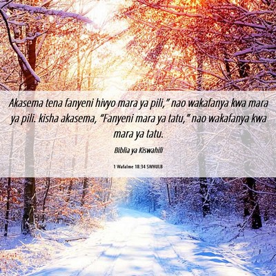 Picture 06 - 1 Wafalme 18:34 SWHULB - Akasema tena fanyeni hivyo mara ya pili,” nao - Bible Verse Picture