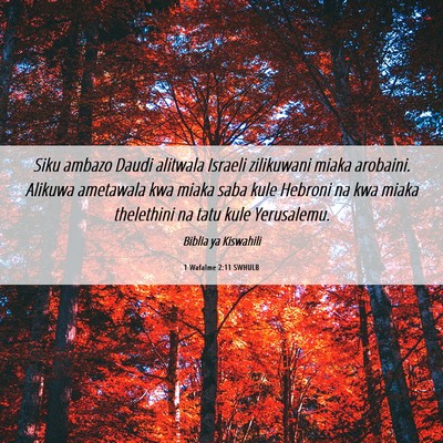 Picture 06 - 1 Wafalme 2:11 SWHULB - Siku ambazo Daudi alitwala Israeli zilikuwani - Bible Verse Picture