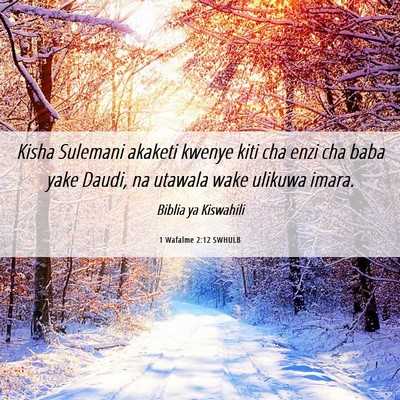 Picture 06 - 1 Wafalme 2:12 SWHULB - Kisha Sulemani akaketi kwenye kiti cha enzi cha - Bible Verse Picture
