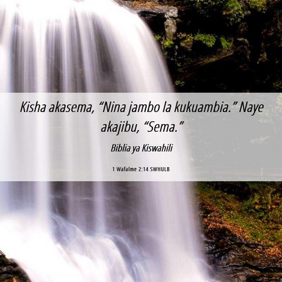 Picture 06 - 1 Wafalme 2:14 SWHULB - Kisha akasema, “Nina jambo la kukuambia.” - Bible Verse Picture