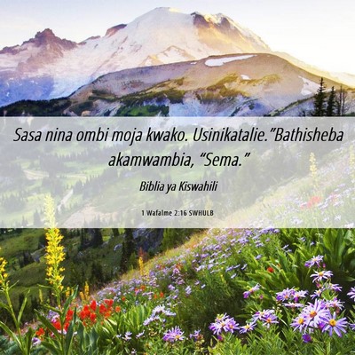 Picture 06 - 1 Wafalme 2:16 SWHULB - Sasa nina ombi moja kwako. - Bible Verse Picture