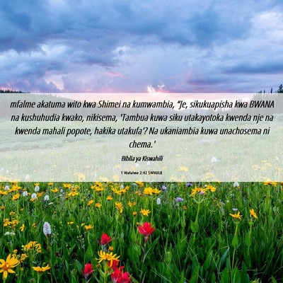 Picture 06 - 1 Wafalme 2:42 SWHULB - mfalme akatuma wito kwa Shimei na kumwambia, - Bible Verse Picture