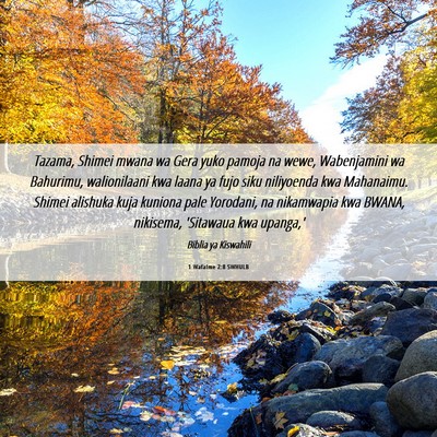 Picture 06 - 1 Wafalme 2:8 SWHULB - Tazama, Shimei mwana wa Gera yuko pamoja na wewe, - Bible Verse Picture
