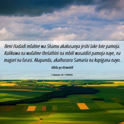 Picture 06 - 1 Wafalme 20:1 SWHULB - Beni Hadadi mfalme wa Shamu akakusanya jeshi lake - Bible Verse Picture