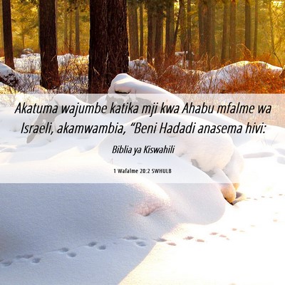Picture 06 - 1 Wafalme 20:2 SWHULB - Akatuma wajumbe katika mji kwa Ahabu mfalme wa - Bible Verse Picture