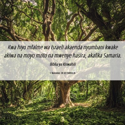 Picture 06 - 1 Wafalme 20:43 SWHULB - Kwa hiyo mfalme wa Israeli akaenda nyumbani kwake - Bible Verse Picture