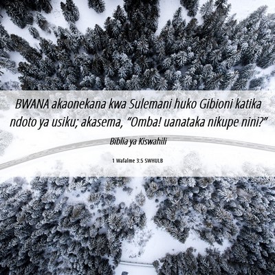 Picture 06 - 1 Wafalme 3:5 SWHULB - BWANA akaonekana kwa Sulemani huko Gibioni katika - Bible Verse Picture