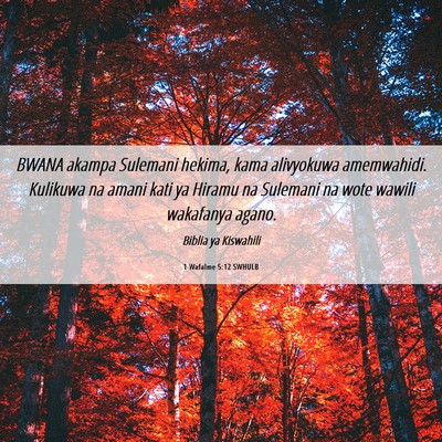 Picture 06 - 1 Wafalme 5:12 SWHULB - BWANA akampa Sulemani hekima, kama alivyokuwa - Bible Verse Picture
