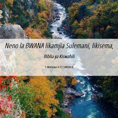 Picture 06 - 1 Wafalme 6:11 SWHULB - Neno la BWANA likamjia Sulemani, - Bible Verse Picture