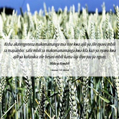 Picture 06 - 1 Wafalme 7:42 SWHULB - Kisha akatengeneza makomamanga mia nne kwa ajili - Bible Verse Picture