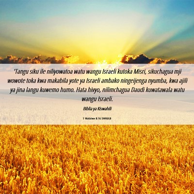 Picture 06 - 1 Wafalme 8:16 SWHULB - 'Tangu siku ile niliyowatoa watu wangu Israeli - Bible Verse Picture