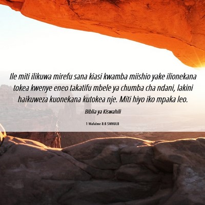Picture 06 - 1 Wafalme 8:8 SWHULB - Ile miti ilikuwa mirefu sana kiasi kwamba miishio - Bible Verse Picture