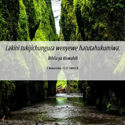 Picture 06 - 1 Wakorintho 11:31 SWHULB - Lakini tukijichunguza wenyewe - Bible Verse Picture