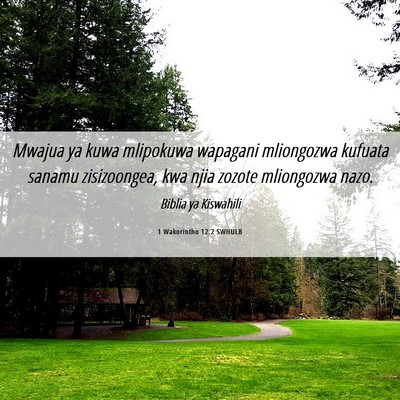 Picture 06 - 1 Wakorintho 12:2 SWHULB - Mwajua ya kuwa mlipokuwa wapagani mliongozwa - Bible Verse Picture