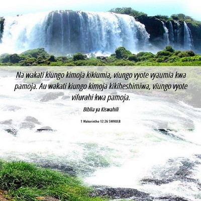 Picture 06 - 1 Wakorintho 12:26 SWHULB - Na wakati kiungo kimoja kikiumia, viungo vyote - Bible Verse Picture