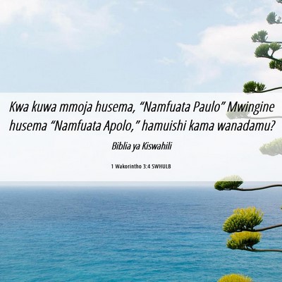 Picture 06 - 1 Wakorintho 3:4 SWHULB - Kwa kuwa mmoja husema, “Namfuata Paulo” - Bible Verse Picture