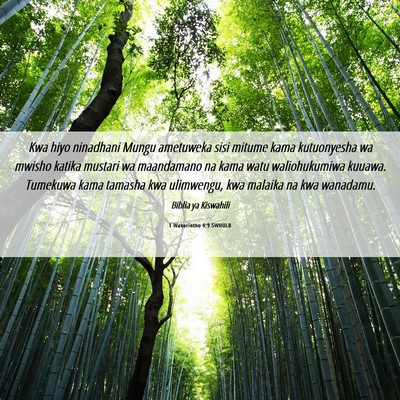 Picture 06 - 1 Wakorintho 4:9 SWHULB - Kwa hiyo ninadhani Mungu ametuweka sisi mitume - Bible Verse Picture