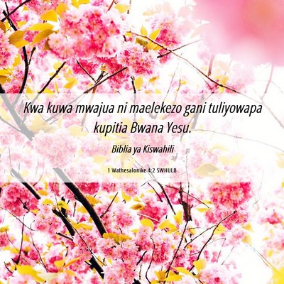 Picture 06 - 1 Wathesalonike 4:2 SWHULB - Kwa kuwa mwajua ni maelekezo gani tuliyowapa - Bible Verse Picture