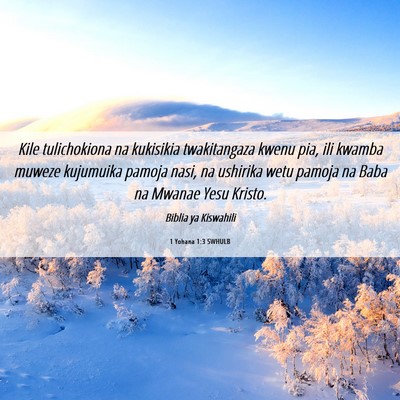Picture 06 - 1 Yohana 1:3 SWHULB - Kile tulichokiona na kukisikia twakitangaza kwenu - Bible Verse Picture