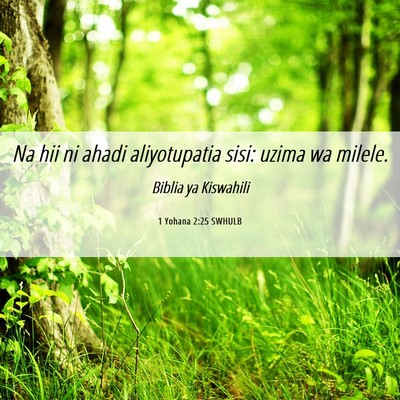 Picture 06 - 1 Yohana 2:25 SWHULB - Na hii ni ahadi aliyotupatia sisi: uzima wa - Bible Verse Picture