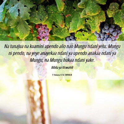 Picture 06 - 1 Yohana 4:16 SWHULB - Na tunajua na kuamini upendo alio nao Mungu ndani - Bible Verse Picture