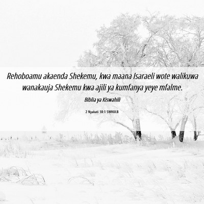 Picture 06 - 2 Nyakati 10:1 SWHULB - Rehoboamu akaenda Shekemu, kwa maana Isaraeli - Bible Verse Picture