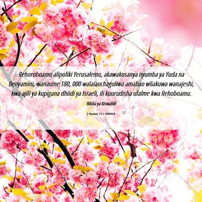 Picture 06 - 2 Nyakati 11:1 SWHULB - Rehoroboamu alipofiki Yerusalemu, akawakusanya - Bible Verse Picture
