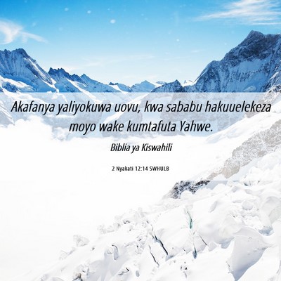 Picture 06 - 2 Nyakati 12:14 SWHULB - Akafanya yaliyokuwa uovu, kwa sababu hakuuelekeza - Bible Verse Picture