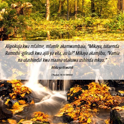 Picture 06 - 2 Nyakati 18:14 SWHULB - Alipokuja kwa mfalme, mfamle akamwambaia, - Bible Verse Picture
