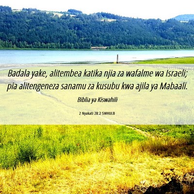 Picture 06 - 2 Nyakati 28:2 SWHULB - Badala yake, alitembea katika njia za wafalme wa - Bible Verse Picture