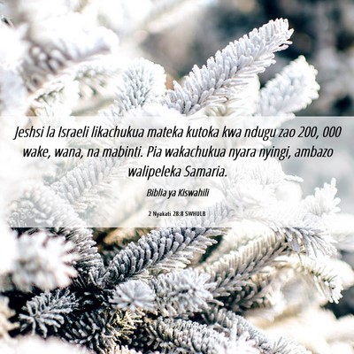 Picture 06 - 2 Nyakati 28:8 SWHULB - Jeshsi la Israeli likachukua mateka kutoka kwa - Bible Verse Picture