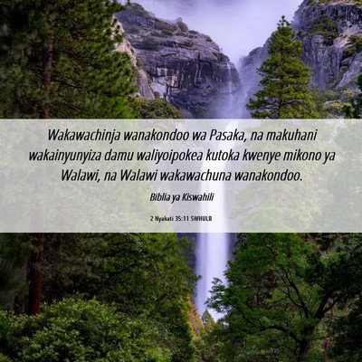 Picture 06 - 2 Nyakati 35:11 SWHULB - Wakawachinja wanakondoo wa Pasaka, na makuhani - Bible Verse Picture