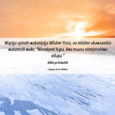 Picture 06 - 2 Nyakati 35:23 SWHULB - Wapiga upinde wakampiga Mfalme Yosia, na mfalme - Bible Verse Picture