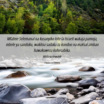 Picture 06 - 2 Nyakati 5:6 SWHULB - Mfalme Selemanai na kusanyiko lote la Israeli - Bible Verse Picture