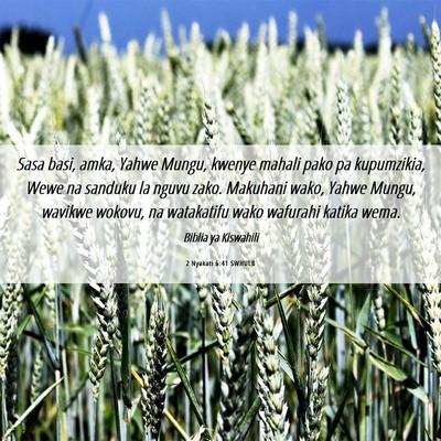 Picture 06 - 2 Nyakati 6:41 SWHULB - Sasa basi, amka, Yahwe Mungu, kwenye mahali pako - Bible Verse Picture
