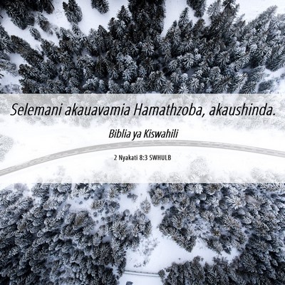 Picture 06 - 2 Nyakati 8:3 SWHULB - Selemani akauavamia Hamathzoba, - Bible Verse Picture