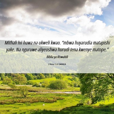 Picture 06 - 2 Petro 2:22 SWHULB - Mithali hii huwa na ukweli kwao. “mbwa - Bible Verse Picture