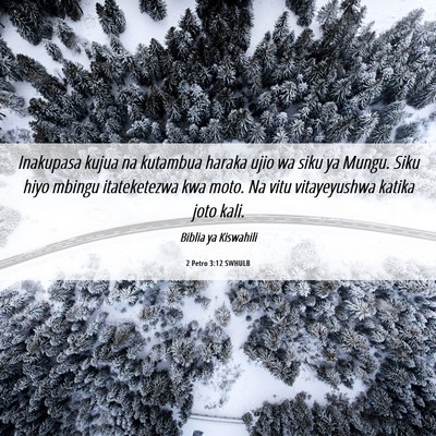 Picture 06 - 2 Petro 3:12 SWHULB - Inakupasa kujua na kutambua haraka ujio wa siku - Bible Verse Picture