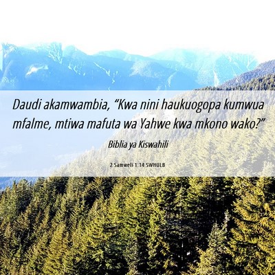 Picture 06 - 2 Samweli 1:14 SWHULB - Daudi akamwambia, “Kwa nini haukuogopa kumwua - Bible Verse Picture