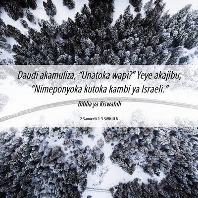 Picture 06 - 2 Samweli 1:3 SWHULB - Daudi akamuliza, “Unatoka wapi?” Yeye - Bible Verse Picture