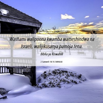 Picture 06 - 2 Samweli 10:15 SWHULB - Washami walipoona kwamba wameshindwa na Israeli, - Bible Verse Picture