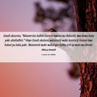 Picture 06 - 2 Samweli 10:2 SWHULB - Daudi akasema, “Nitaonesha fadhiri Hanuni mwana - Bible Verse Picture